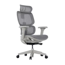 Cadeira Ergonômica Elements Siggy - 1
