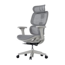 Cadeira Ergonômica Elements Siggy - 3