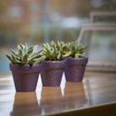 Ver imagem 3 de Tinta Spray Purpurina Roxo Multicores Rust-oleum