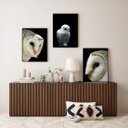 Ver imagem 2 de Kit 3 Quadros Decorativos Fotografias Corujas Brancas 45x34cm - com Vidro:madeira Preta