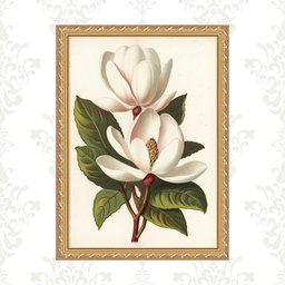 Quadro Moldura Dourada Flores Magnólia 24x18cm:com Acetato - 1