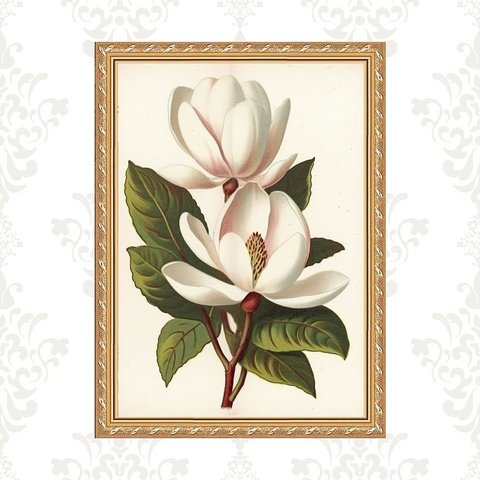 Quadro Moldura Dourada Flores Magnólia 24x18cm:com Acetato