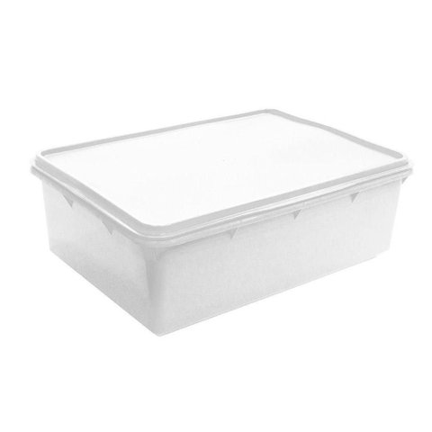 Caixa Plástica Organizadora Empilhável e Hermética com Tampa 11l Plasvale - 37x26x14 (cxlxa)