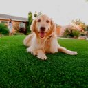 Ver imagem 5 de Grama Sintética Decorativa - Resistente Sol/chuva - 2m2