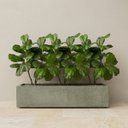 Ver mais imagens de Kit 5 Mini Árvores Artificiais Ficus Lyrata 85cm Toque Real Silicone Decoração Elegante e Moderna