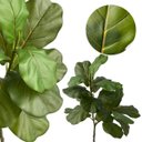 Ver imagem 7 de Kit 5 Mini Árvores Artificiais Ficus Lyrata 85cm Toque Real Silicone Decoração Elegante e Moderna