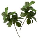 Ver imagem 4 de Kit 5 Mini Árvores Artificiais Ficus Lyrata 85cm Toque Real Silicone Decoração Elegante e Moderna