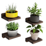 Prateleiras Flutuantes Pequenas , Conjunto de 4 Prateleiras de Parede de 14 X 14 Cm - 1