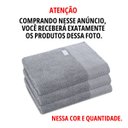 Ver imagem 2 de 3 Toalha Lavabo Macia 450g/m2 Grossa Absorvent 30x50 Tur Gf