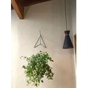 Ver imagem 5 de Kit 2 Suporte a Pendurar Xaxim Planta Flor Parede 30 Cm