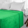 Cobertor Casal Manta de Microfibra Lisa 1,8x2,2m Camesa 12613.01.9999 Verde - 9