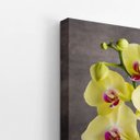 Ver imagem 3 de Quadro Orquídeas Amarelas Flor em Vaso Canvas 100x70cm
