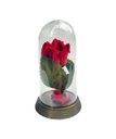 Ver imagem 1 de Redoma Cúpula a Rosa Encantada a Bela e a Fera / Pequeno Príncipe Base Ouro P Rosa Amarela - Terraco