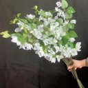 Ver imagem 2 de Kit com 10 Galhos Flores Brancas Bougainville Premium 75cm