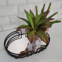 Ver imagem 5 de Bandeja Espelhada Oval Decorativa 27x17cm Banheiro Aparador Preto Fosco Lavabo Genovia