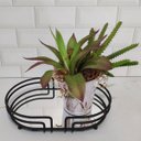 Ver imagem 6 de Bandeja Espelhada Oval Decorativa 27x17cm Banheiro Aparador Preto Fosco Lavabo Genovia