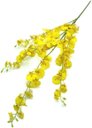 Ver imagem 4 de 10 Galhos Orquídeas Chuva de Ouro Grandes Artificial
