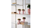 Ver imagem 3 de Cachepot Vaso Rosa Decorativo Poliresina Robert Sentado