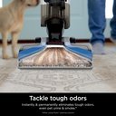 Ver imagem 4 de Shark Carpetxpert Limpador de Carpetes e Tapetes Potente Azul Secagem Rápida para Pets 110v