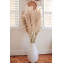 Ver imagem 3 de Kit 10 Capim Dos Pampas Plumas Para Decoração 1,40 Grande