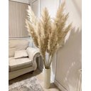 Ver imagem 2 de Kit 10 Capim Dos Pampas Plumas Para Decoração 1,40 Grande