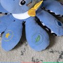 Ver imagem 7 de Pelúcia Interativa Educativa Polvo Octoplush Descoberta das Cores Musical Azul Baby Einstein Octoplu
