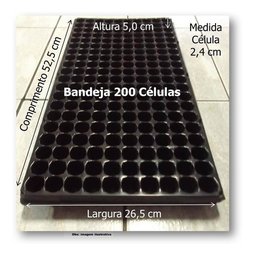 Kit 30 Bandeja Sementeira Para Produção De Mudas 200 Células - 4