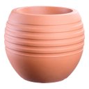 Ver imagem 1 de Vaso Canela Terracota 29 Terrano