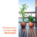 Ver imagem 4 de Vaso Canela Terracota 29 Terrano