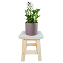 Ver imagem 1 de Banqueta Baixa Quadrada Madeira Maciça Pinus Natural sem Pintura Resistente Pinus Pequena Infantil