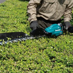 Aparador de Cerca Viva Arbustos 600mm sem Fio 720w com Lâmina Resistência Água Uh013gz Makita - 3