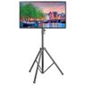 Suporte Tripé Pedestal para Tv Led / Oled / Qled de 37" até 70" Ft-170trx - Fixatek - 6