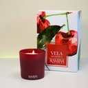 Ver imagem 7 de Vela Aromática Cereja e Avelã 190g Pronto para Presentear