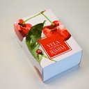 Ver imagem 5 de Vela Aromática Cereja e Avelã 190g Pronto para Presentear