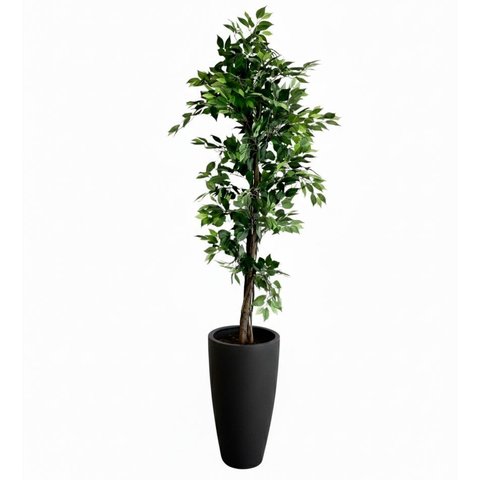 Árvore Fícus Artificial com Tronco Natural e Vaso Preto | 220cm
