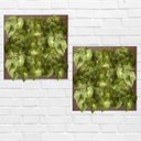 Ver imagem 7 de 4 Folhagens Singônio Artificial Permanente Buquê Verde para Decoração Moderna de Casas e Comércios