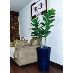 Ficus Lyrata Decoração Realista + Vaso Decorativo - 5