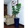 Ficus Lyrata Decoração Realista + Vaso Decorativo - 5