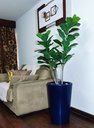 Ver imagem 5 de Ficus Lyrata Decoração Realista + Vaso Decorativo