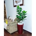 Ver imagem 3 de Ficus Lyrata Decoração Realista + Vaso Decorativo