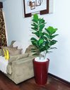 Ver imagem 3 de Ficus Lyrata Decoração Realista + Vaso Decorativo