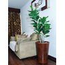 Ficus Lyrata Decoração Realista + Vaso Decorativo - 4