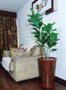 Ver imagem 4 de Ficus Lyrata Decoração Realista + Vaso Decorativo