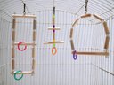 Ver imagem 6 de Brinquedo Aves calopsita papagaio kit 3 balanços natural