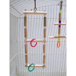 Brinquedo Aves calopsita papagaio kit 3 balanços natural - 9