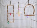 Ver imagem 5 de Brinquedo Aves calopsita papagaio kit 3 balanços natural