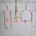 Ver imagem 7 de Brinquedo Aves calopsita papagaio kit 3 balanços natural