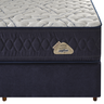 Cama Box Queen Ecoflex Density Ii (superlastic) 158x198x56 Cm - 7