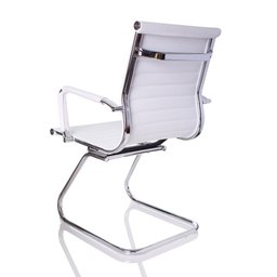 Kit Com 2 Cadeira Fixa Interlocutor Charles Eames Esteirinha 11A - 4