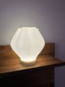 Ver imagem 6 de Luminária Lotus 3D